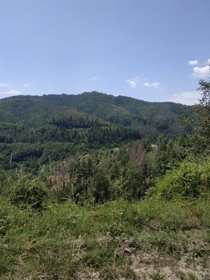 "Вила Баните" Exteriör bild